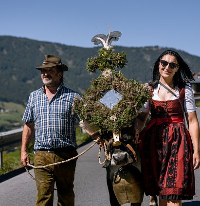 Alpine cattle drive Jerzens 2024