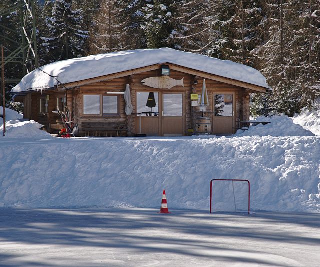 Piller Winter fish pond