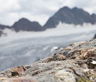 2018-08-25-pitztaler-gletscher-sommer-c-bernhard-fueruter-109-3