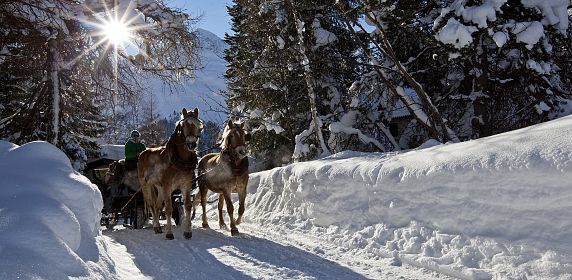 pferdeschlitten-kutschenfahrt-im-pitztal-8-1