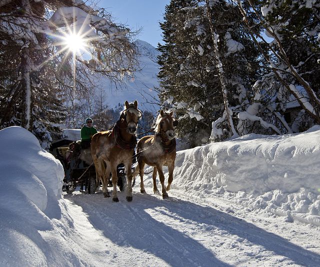 pferdeschlitten-kutschenfahrt-im-pitztal-8