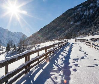 winterlandschaft-in-st