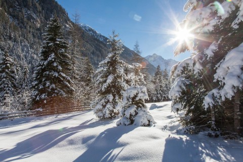 Winterwanderung im Tiroler Pitztal