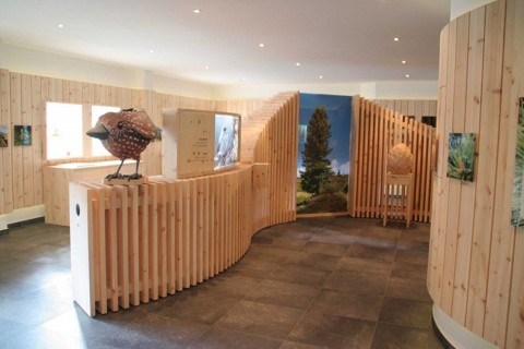 stone pine exhibition in Jerzens im Pitztal