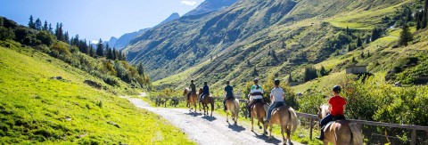 Horse riding in Tyrol