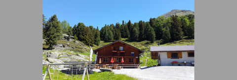 Pitztaler Almenbus zur Aifner Alm