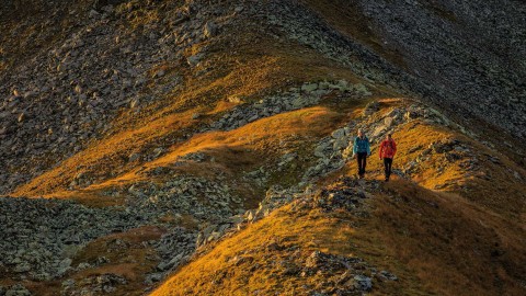 Long-distance hiking in Pitztal in Tyrol