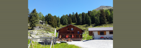 Almabtrieb der Aifner Alm