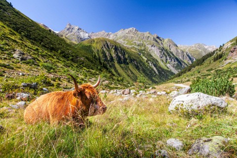 Pitztal region