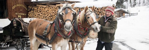 Pferdeschlittenfahren im Pitztal