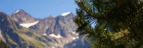 Sommer Aktivitäten im Pitztal